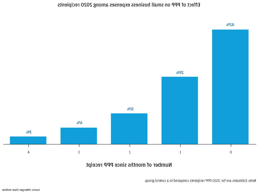 Figure 1: Effect of PPP loans on small business expenses among 2020 recipients